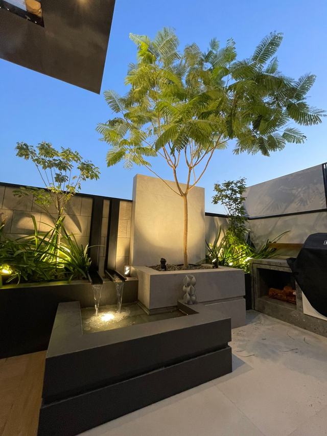 Courtyard with planting and a water feature