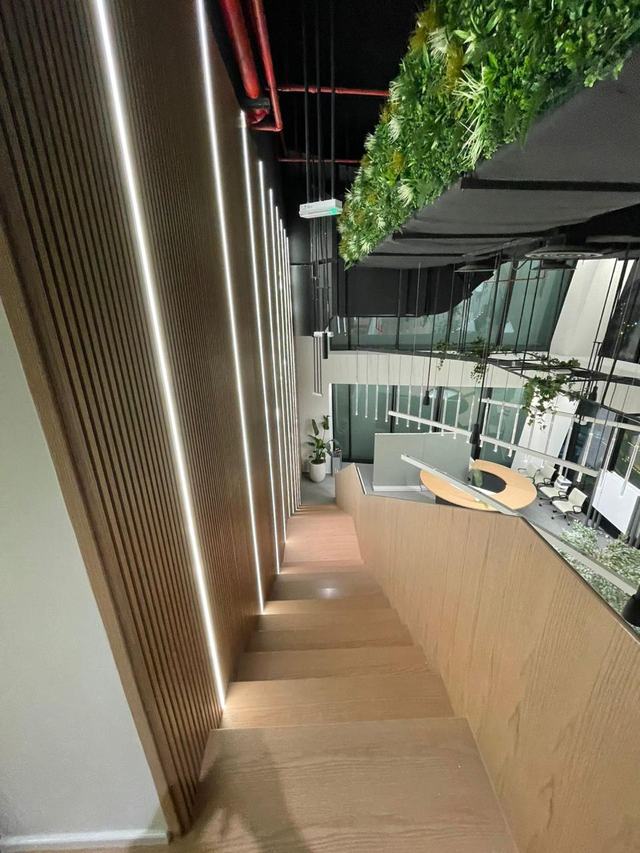 Timber staircase with linear lighting